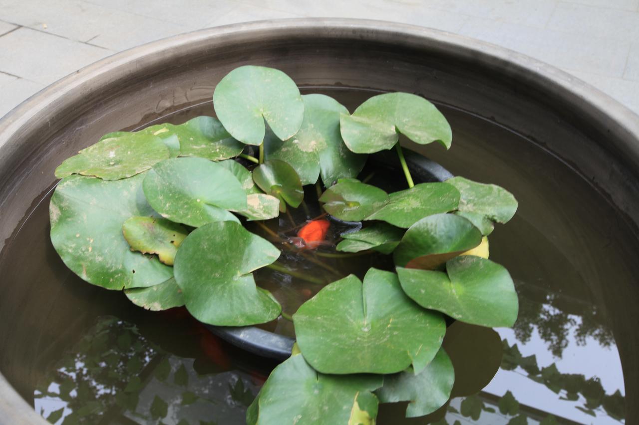 Zhantan Courtyard Hotel Beijing